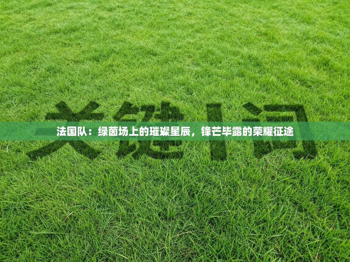 法国队：绿茵场上的璀璨星辰，锋芒毕露的荣耀征途  第2张