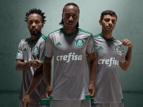 爱游戏电竞-关于帕尔梅拉斯球迷现场助威，激发球队夺冠斗志的信息