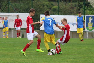 爱游戏投注-西悉尼流浪者新援首秀引期待,世俱杯表现备受关注