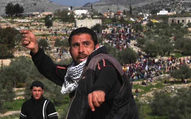 爱游戏视频-巴勒斯坦主场力克利比亚,壮志凌云的简单介绍