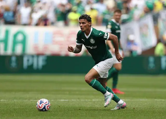 爱游戏链接-帕尔梅拉斯球迷现场助威，激发球队夺冠斗志的简单介绍