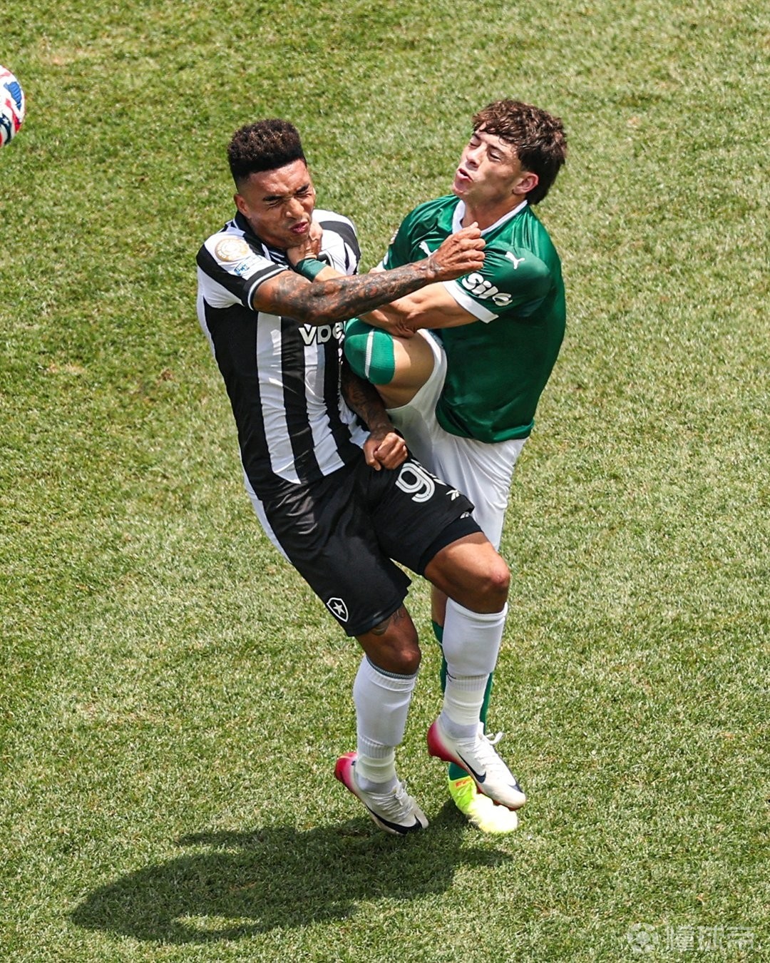 爱游戏直播-帕尔梅拉斯连续不败,争冠形势一片大好的简单介绍